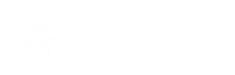 CyberSuite